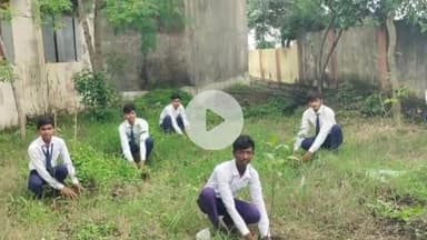 चांद: टीचर वेलफेयर सोसाइटी के सदस्यों ने चांद नगर में किया पौधारोपण