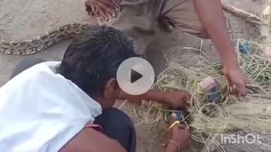 धरमपुरी: नर्मदा नदी में मछली पकड़ने के दौरान जाल में फंसा अजगर, रेस्क्यू कर जंगल में छोड़ा, वीडियो वायरल