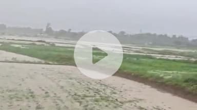 करछना: यमुनापार क्षेत्र में 16 घंटे से हो रही मूसलाधार बारिश से किसानों की फसलें हुई जलमग्न व सड़कों पर भरा पानी