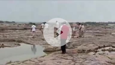 दीगोद: दीगोद इलाके के निमोदा हरि जी चंबल नदी में बहे व्यक्तियों की तलाश में NDRF और SDRF की टीमें जुटी, ड्रोन की मदद ली जा रही