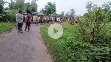 बाघ के हमले में फिर एक महिला की मौत दो गंभीर घायल बाघ के हमलों से परेशान ग्रामीण किसान नेता देवस्वरूपपटेल मौके पर पहुंचे