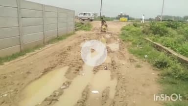 औरैया: गायत्री नगर में कच्ची सड़कों से होकर गुजरने को मजबूर लोग विद्यालय जाने वाले बच्चों को होती है परेशानी #jansamasya