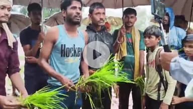 स्लीमनाबाद: ग्राम टिग्मा देवरी के ग्रामीणों का अनोखा विरोध: कीचड़ से परेशान होकर सड़क पर रोपी धान