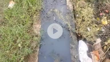 सिराली नगर परिषद के अंतर्गत आने वाली विद्या विहार कॉलोनी के रहवासी मूलभूत सुविधाओं को तरस रहे है।