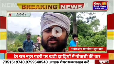 देर रात नहर पटरी पर खडी झाड़ियों में गौकशी की वारदात,#goodfastnews #news