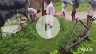 मांगरौल: गुजरावनी गांव में श्वानों के हमले से गाय का बछड़ा घायल, ग्रामीणों ने बारिश में किया प्राथमिक उपचार और भेजा अस्पताल