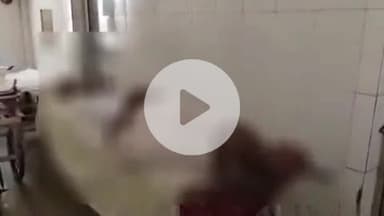 सुल्तानपुर: जमीनी विवाद में न्याय के लिए भटक रहे 72 वर्षीय किसान की कलेक्ट्रेट में वकील से मिलने के दौरान हुई मौत, अस्पताल में गिरे