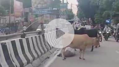 सुल्तानपुर: नगरपालिका अधिकारी जनसुनवाई पोर्टल की शिकायत पर अधूरी रिपोर्ट लगा रहे हैं