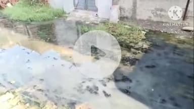 भिवानी: दादरी गेट के आनंद नगर गली-12 में बारिश के पानी की निकासी न होने से लोग परेशान #jansamasya