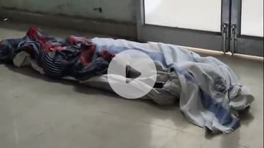 बेगूसराय: सांप काटने से घायल महिला की अस्पताल में मौत, परिजनों में कोहराम