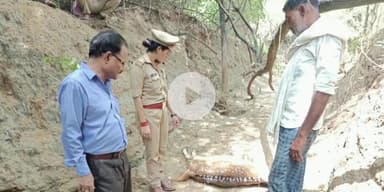 कालपी: कालपी तहसील क्षेत्र के कोड़ा किर्राही गांव में हिरण को मारने वाले आरोपी को पुलिस और वनकर्मियों ने पकड़ा, भेजा जेल