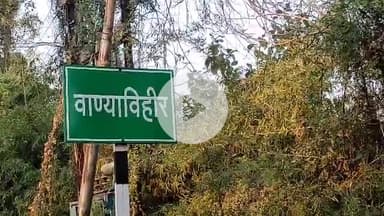 अक्कलकुवा: वाण्याविहीर येथे घराच्या अंगणातील पत्र्याच्या शेड मधून मोटरसायकल चोरी