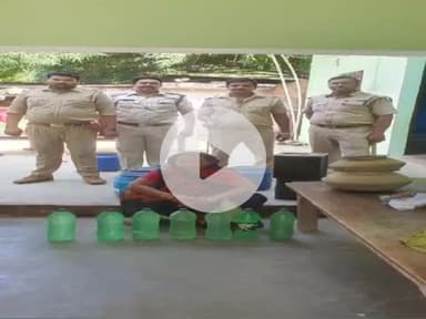 सुल्तानपुर: अवैध शराब के खिलाफ कार्रवाई में 68 लीटर कच्ची शराब बरामद, एक व्यक्ति गिरफ्तार; 250 किलो लहन किया गया नष्ट