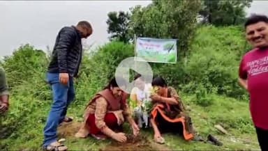 देहरादून: मसूरी नगर पालिका ने मसूरी में फलदार पौधों का रोपण किया, दिया पर्यावरण संरक्षण का संदेश