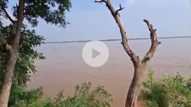 सहार: सहार सोन नदी में जलस्तर में लगातार वृद्धि, अलर्ट मोड में प्रशासन; हर घंटे बढ़ रहा है पानी