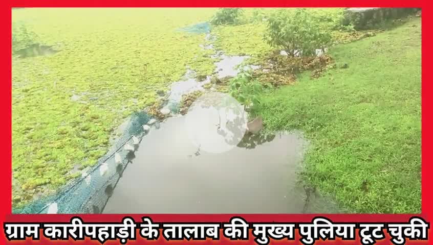 #कारीपहाड़ी #तालाब की पुलिया अचानक हुई ध्रुस्त पानी के तेज बहाओ के चलते