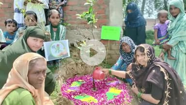 मंझनपुर: महिलाओं और बच्चों ने मिलकर अषाढ़ा में मां के नाम एक पौधा लगाकर हरियाली का संदेश रचा