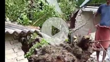 प्रतापगढ़: लौवार गांव में वर्षा और हवा के चलते मकान पर गिरा पेड़, गृहस्थी दबकर हुई नष्ट