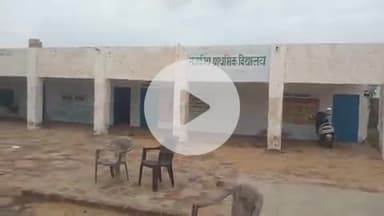 रामनगर पंचायत में 4  D,L,s,m