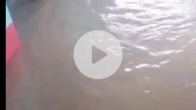 सिलाव: सिलाव प्रखंड के कृपा बिगहा गांव में पंचाने नदी का पानी घरों में घुसा, ग्रामीण परेशान