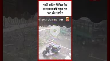 Bareilly : भारी बारिश के चलते गिरा पेड़, बाल बाल बचे सड़क पर राहगीर...