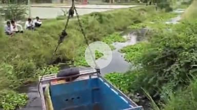 जलेसर: गांव वीरनगर रुद्रपुर के समीप मैक्स पिकअप की स्टेरिंग फेल होने से अनियंत्रित होकर बम्बा में गिरी, चालक घायल