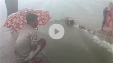 सतना: बिरला तालाब हुआ ओवरफ्लो, मना करने पर भी लोग पकड़ रहे मछली, दुर्घटना की आशंका