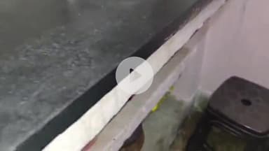 लाडपुरा: शहर में ESAI हॉस्पिटल के कर्मचारी के घर पर अलमारी से निकला 6 फीट लंबा कोबरा, सुरक्षित रेस्क्यू कर जंगल में छोड़ा