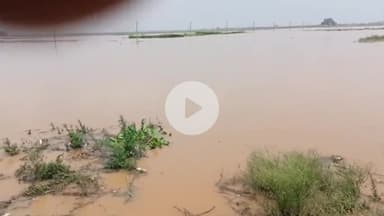 संदेश: संदेश सोन नदी के जलस्तर में लगातार वृद्धि, प्रशासन सतर्क, निगरानी और कार्रवाई जारी, लोगों से की गई अपील