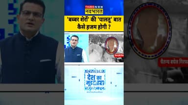 'बब्बर शेर' वाले अपना शिकार भूल गए?| #deshkamoodmeter | #shorts