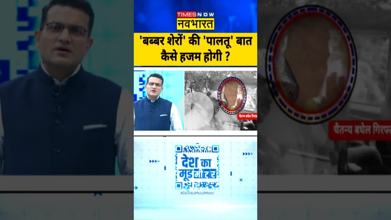 'बब्बर शेर' वाले अपना शिकार भूल गए?| #deshkamoodmeter | #shorts