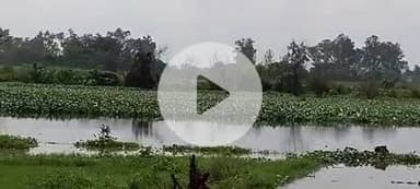 बदायूं: नरऊ गांव में नाले के गंदे पानी को लेकर 28वें दिन भी कांग्रेसियों व ग्रामीणों का अनशन जारी