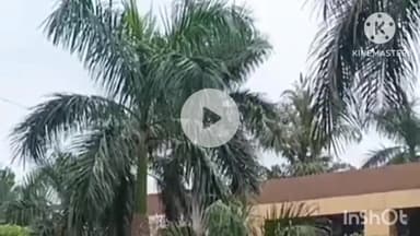 कोरबा: अज्ञात वाहन ने युवक को मारी टक्कर, मेडिकल कॉलेज अस्पताल में उपचार के दौरान हुई मौत