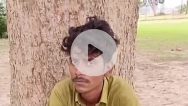 प्रतापगढ़: धरौली मोड़ के पास अनियंत्रित बाइक पेड़ से टकराई, दो की मौत और एक की हालत नाजुक