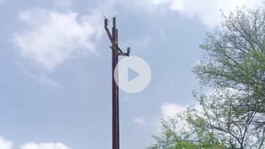 मऊगंज: मऊगंज में ओड्डा नदी के पास चोर 33 केवी लाइन के 10 पोल के तार काट ले गए, थाने में रिपोर्ट दर्ज