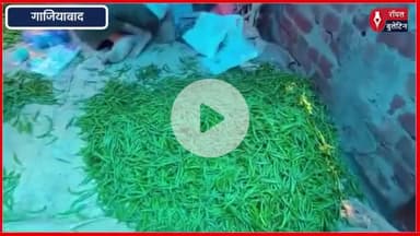 गाजियाबाद सब्जियों के दाम आसमान छू रहे, बारिश और कांवड़ यात्रा ने बढ़ाई मुश्किलें
#GhaziabadNews #ghaziabad #kavadyatra #monsoon