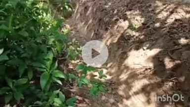 नवाबगंज: बाराबंकी में सरकारी जमीन से अतिक्रमण हटाया गया, नियामतपुर जंगल में अवैध मजार को प्रशासन ने ध्वस्त किया, मेड़बंदी कराई गई