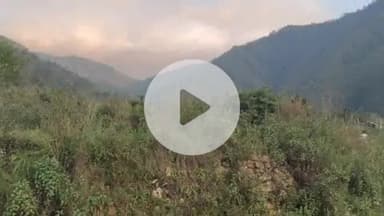 चिन्यालीसौड़: UPCL की घोर लापरवाही से गई 2 गायों की जान