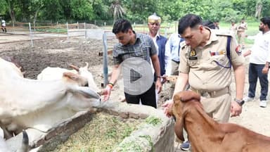रामपुर: शनिवार को ग्राम मुशर्रफगंज में मनरेगा के तहत बने गो-संरक्षण केंद्र का ज़िला अधिकारी और पुलिस अधीक्षक ने किया निरीक्षण