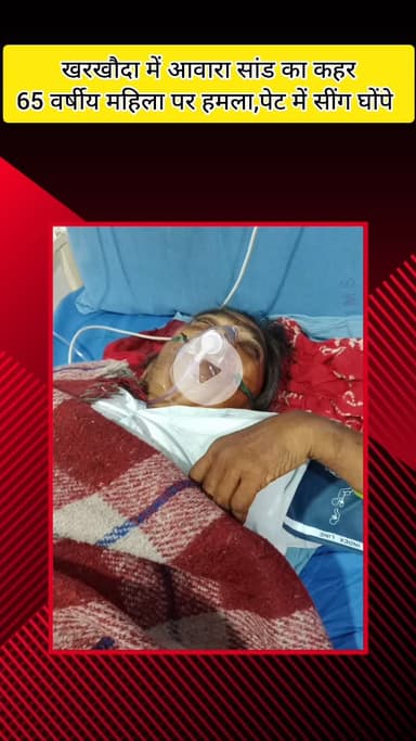 मेरठ: खरखौदा में आवारा सांड का कहर: 65 वर्षीय महिला पर हमला, पेट में सींग घोंपे; नगर निगम ने पकड़कर जंगल में छोड़ा