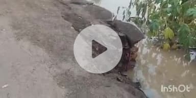 फतुहा: गढोचक गांव में ईंटों से लदा ट्रैक्टर पुनपुन नदी में गिरा, चालक बाल-बाल बचा