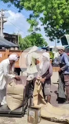 भरतपुर: मंडी में सरसों की बंपर आवक, 35 से 40 हजार बोरी आई