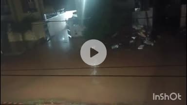 जगदलपुर: मूसलाधार बारिश से जगदलपुर में आफत, 50 से अधिक घरों में घुसा नाले का पानी