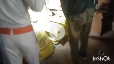 गुना: रमगढा गांव: मकान में निकला कोबरा, वन विभाग ने किया रेस्क्यू, रात भर घर के बाहर रहा परिवार