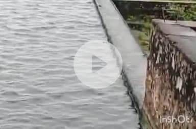 बाली: बाली का लाटाडा बांध ओवरफ्लो, पानी की चादर चली, बेड़ा नदी का जलस्तर 4.50 फीट पहुंचा, प्रशासन ने सतर्क रहने की की अपील