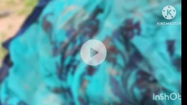 कोरबा: कोरबा में हाथी ने महिला को पटककर मारा, तौलीपाली जंगल में सुबह हुई घटना