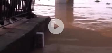 पटना ग्रामीण: NIT घाट पर गंगा के जल स्तर में वृद्धि, गंगा का विकराल रूप, दियारा के लोग परेशान