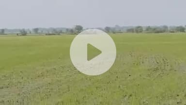 रामायण का हिरण आया फिर सामने इसको देखते ही लगता हैं कि फिर से ये कोई राक्षस बन कर आया सामने जी हा आप सभी देख कर लाइक।करे