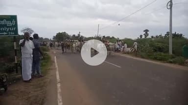 ஆவுடையார் கோவில்: புண்ணியவயல் கிராமத்தில் அய்யனார் கோவில் சந்தன காப்பு விழவையொட்டி மக்களால் நடத்தப்பட்ட மாட்டுவண்டி போட்டி நடைபெற்றது