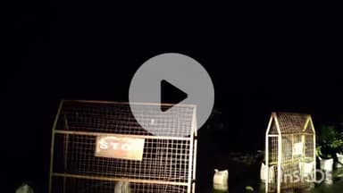 ब्यौहारी: ब्यौहारी-सीधी मार्ग पर बारिश से सड़क कटी, पुलिस ने लगाया स्टॉपर